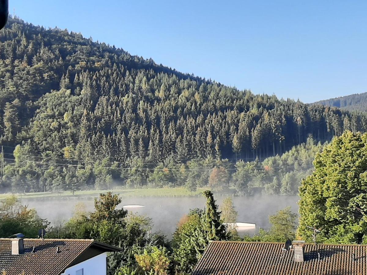 Ferienwohnung Zeitlos, Gigantischer Seeblick, Wlan, Gerne Mit Hund Winterberg Luaran gambar