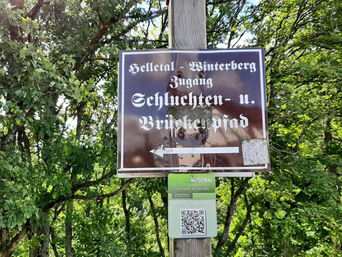 Ferienwohnung Zeitlos, Gigantischer Seeblick, Wlan, Gerne Mit Hund Winterberg Luaran gambar